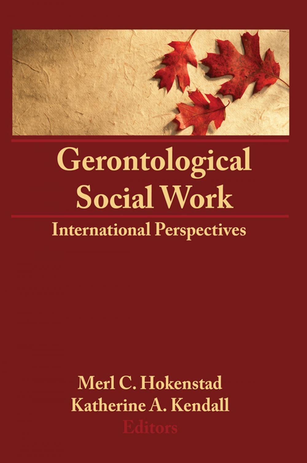 Big bigCover of Gerontological Social Work