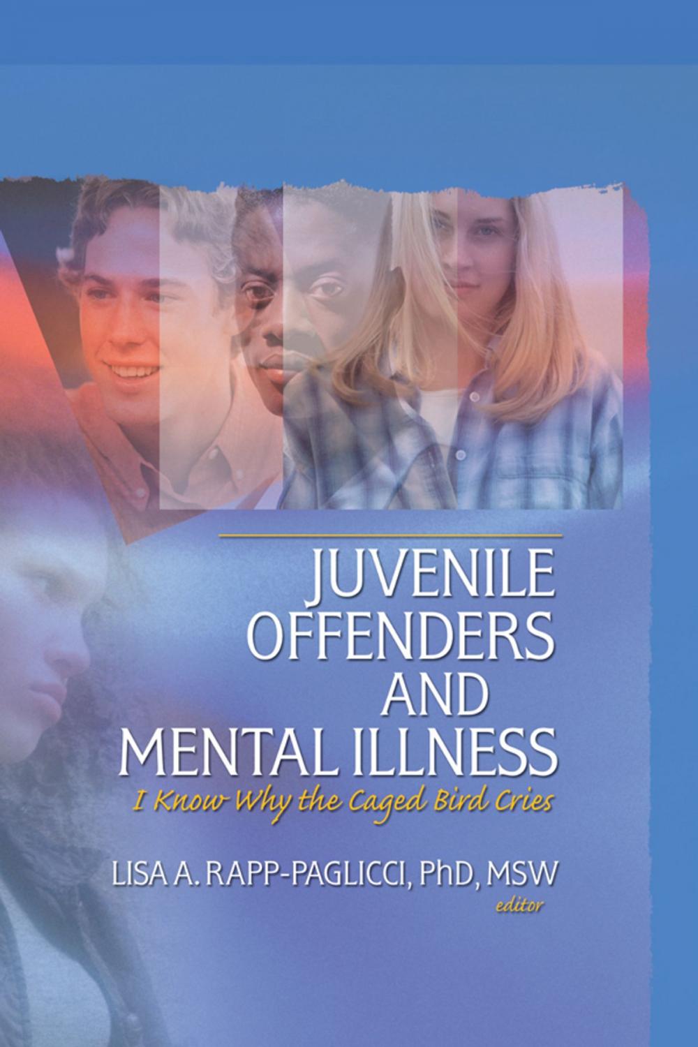 Big bigCover of Juvenile Offenders and Mental Illness