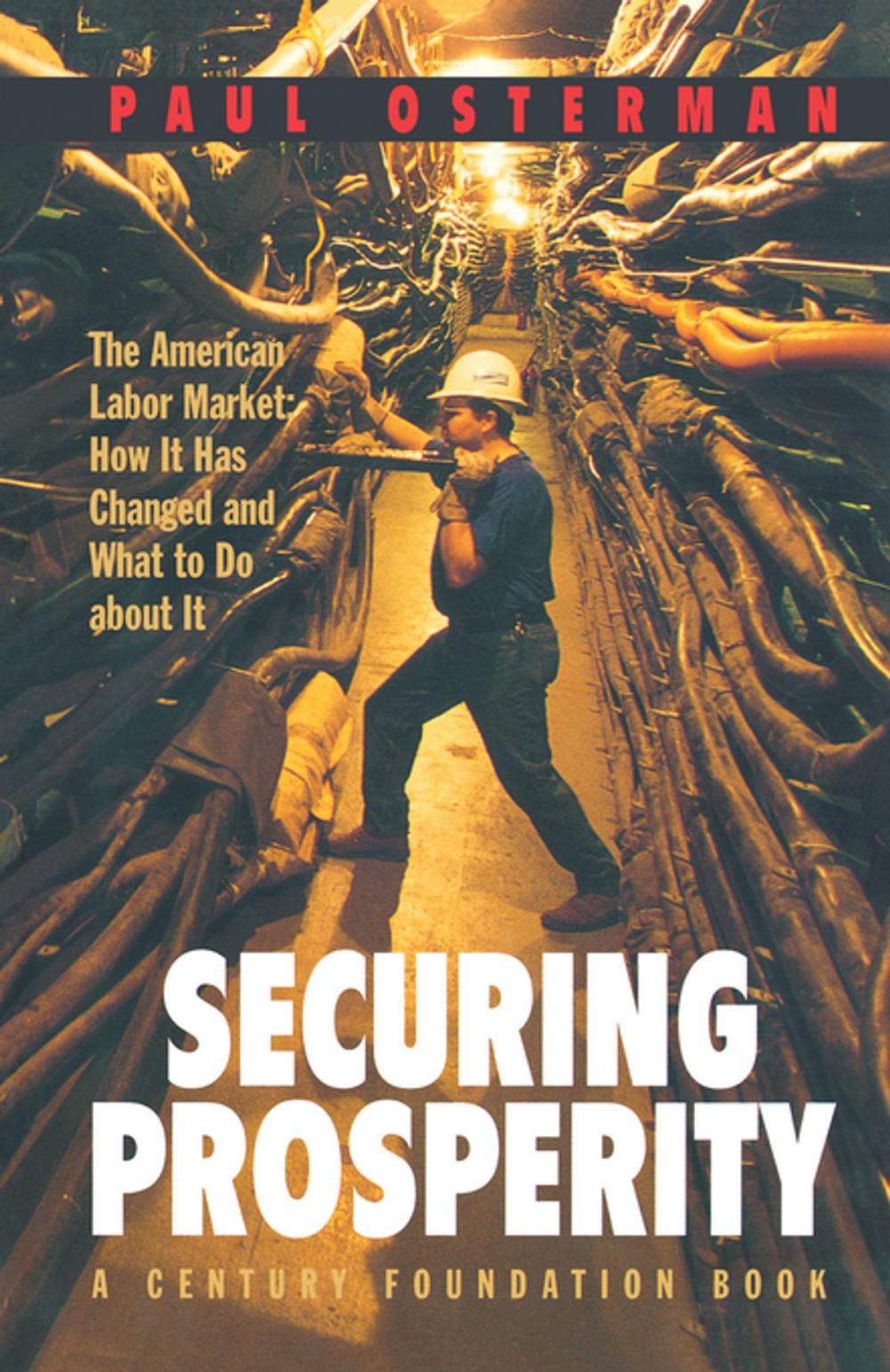 Big bigCover of Securing Prosperity