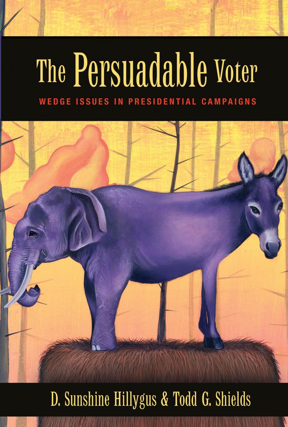 Big bigCover of The Persuadable Voter