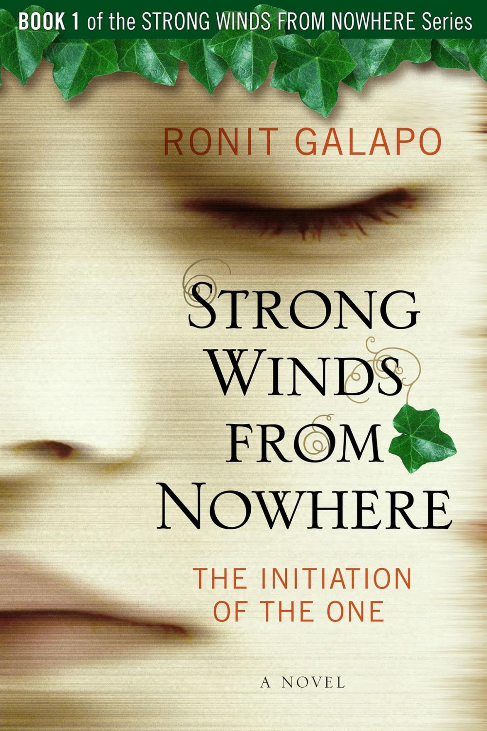 Big bigCover of Strong Winds from Nowhere