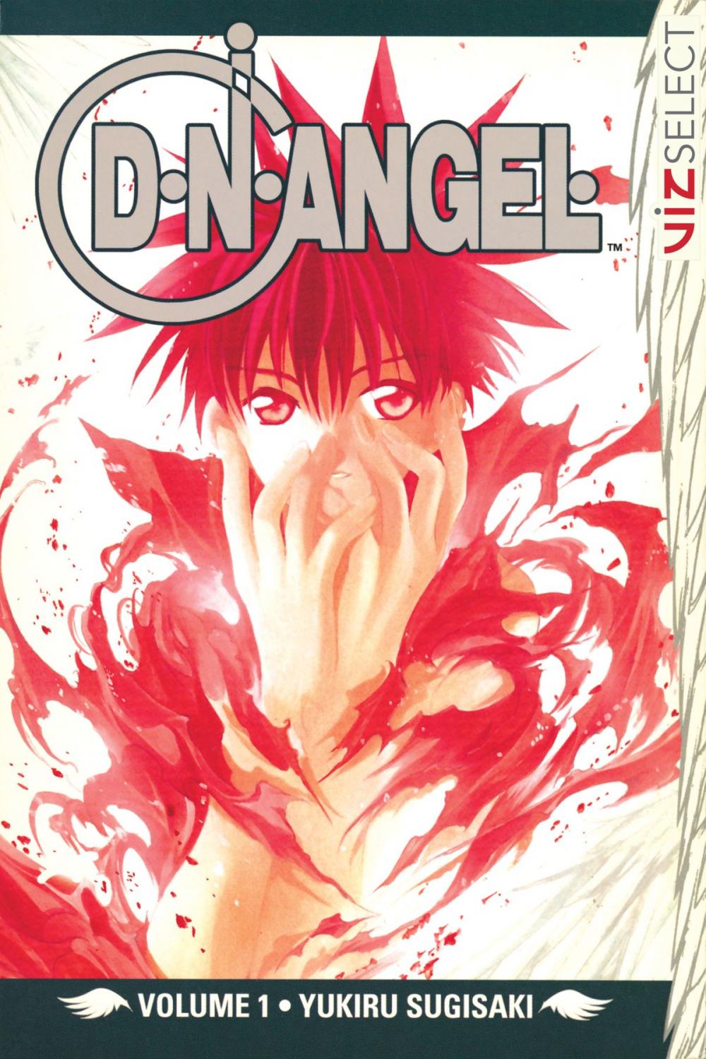 Big bigCover of D・N・ANGEL, Vol. 1