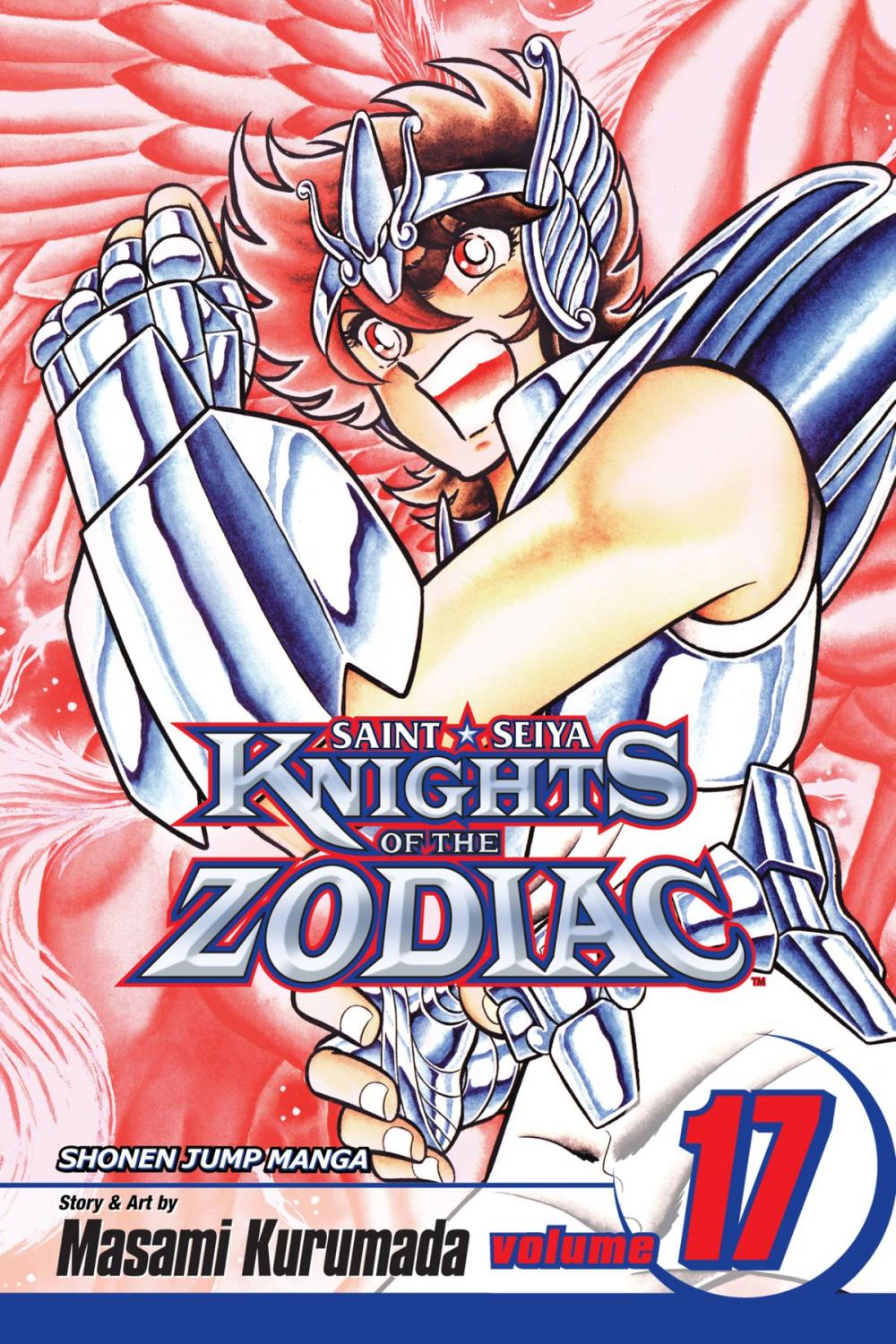 Big bigCover of Knights of the Zodiac (Saint Seiya), Vol. 17