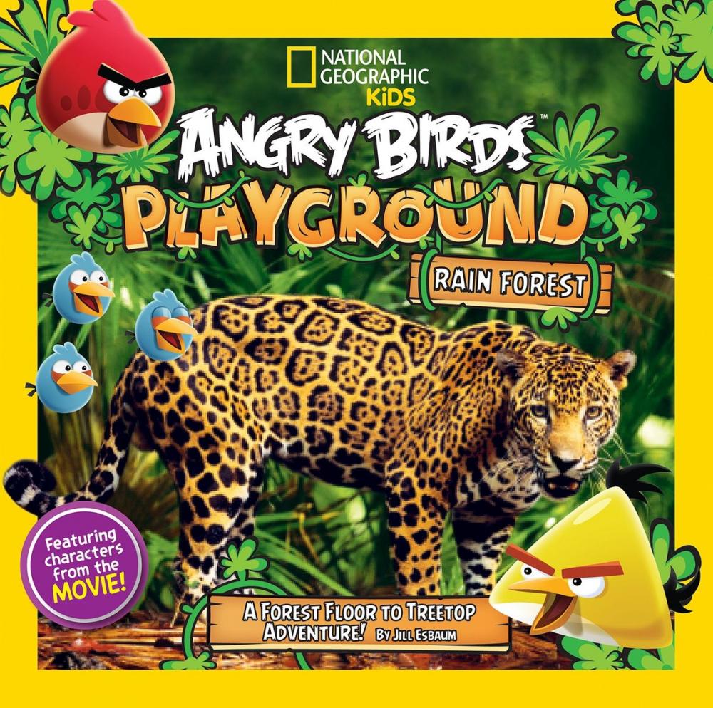 Big bigCover of Angry Birds Playground: Rain Forest