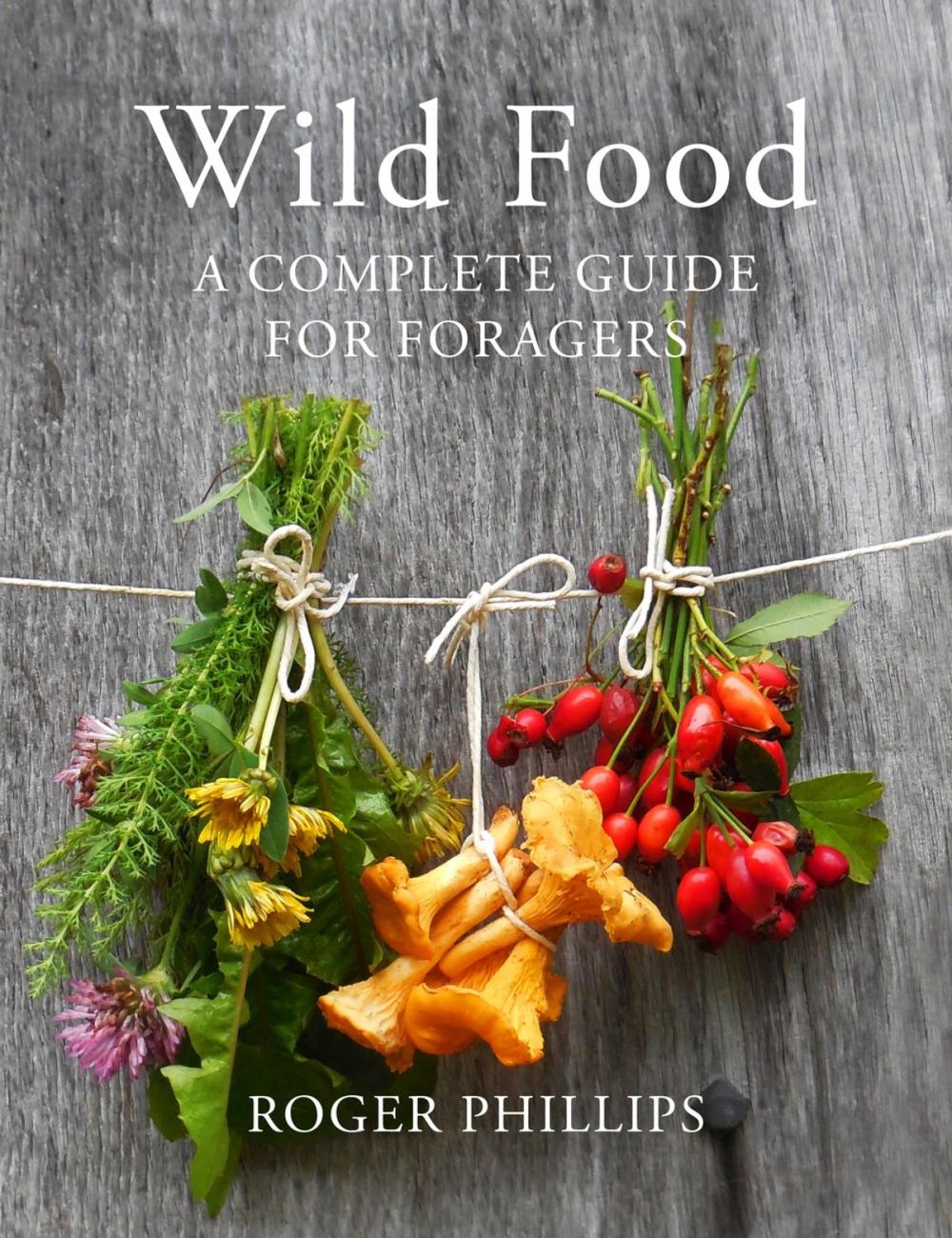 Big bigCover of Wild Food