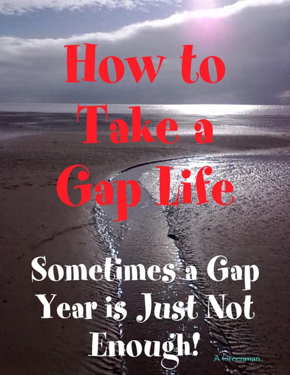 Big bigCover of How to Take a Gap Life: Sometimes a Gap Year is Just Not Enough!