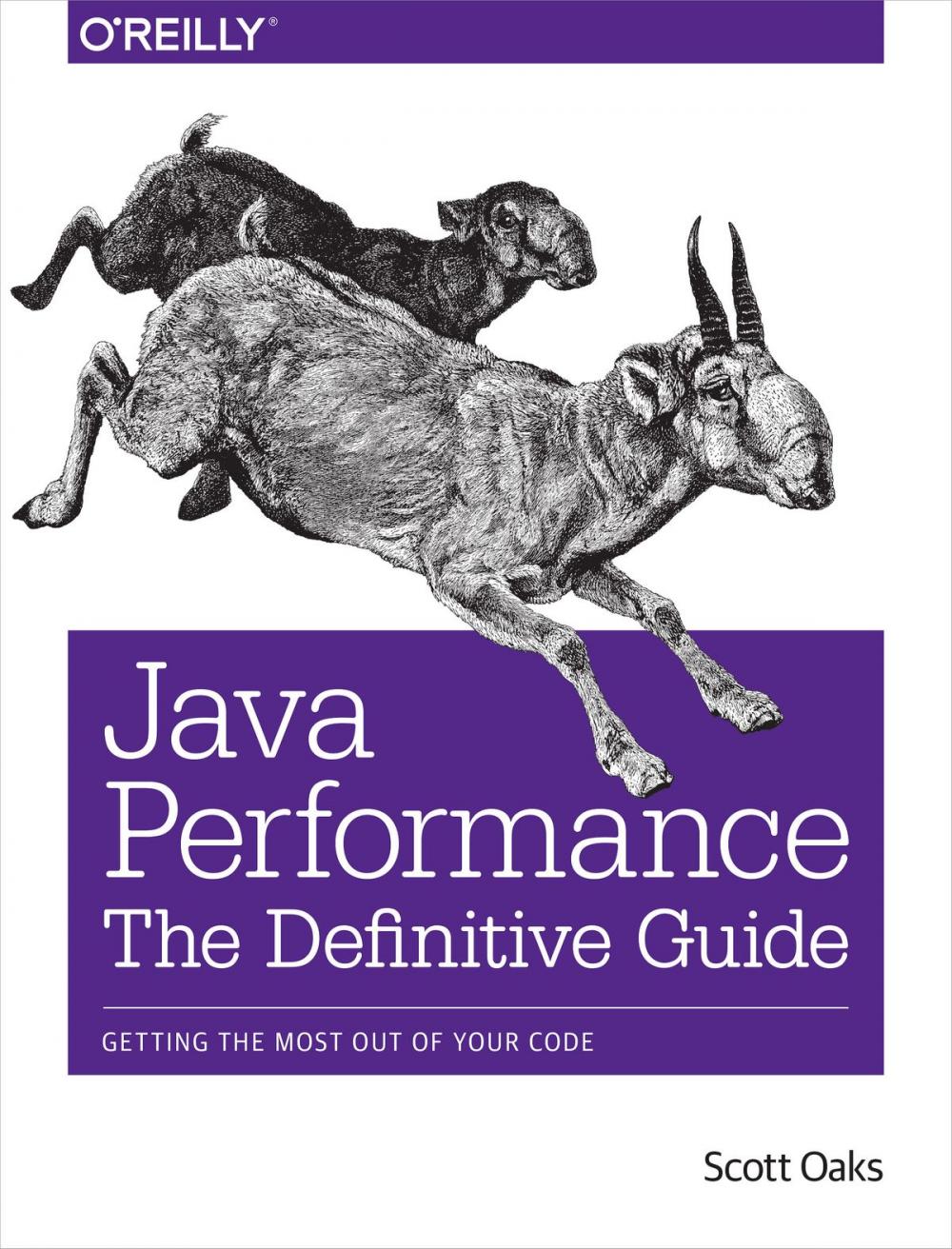 Big bigCover of Java Performance: The Definitive Guide