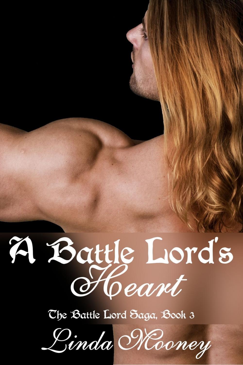 Big bigCover of A Battle Lord's Heart