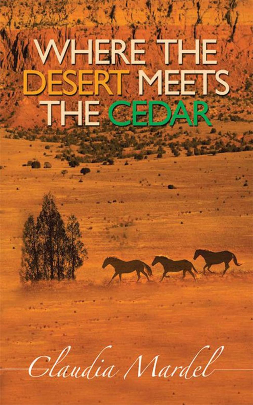 Big bigCover of Where the Desert Meets the Cedar