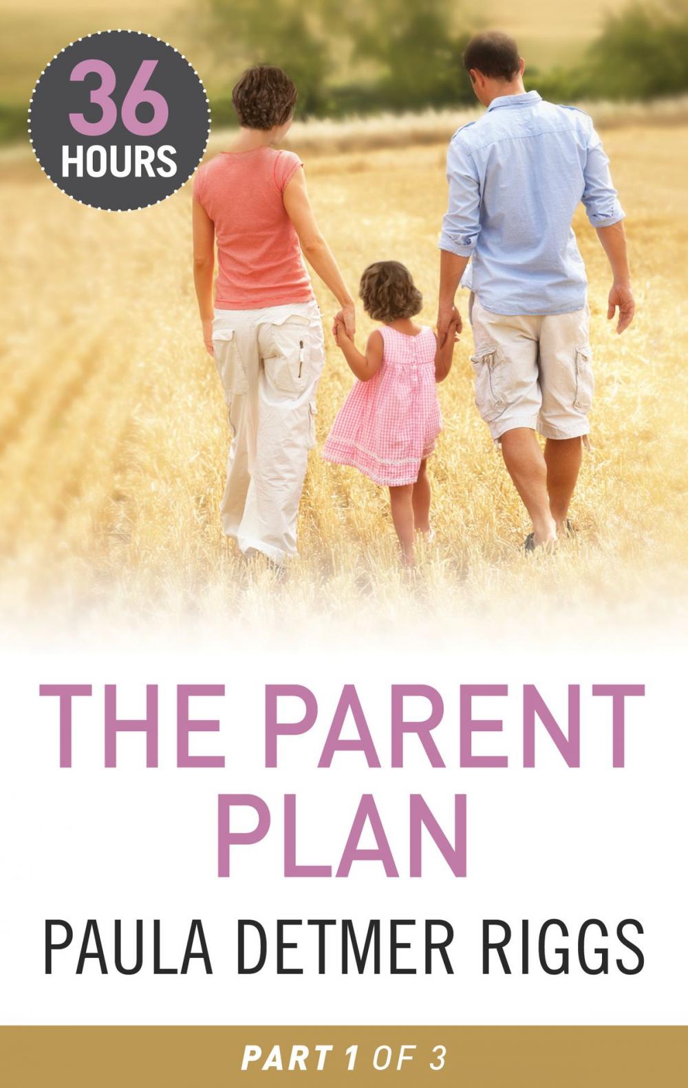 Big bigCover of The Parent Plan Part 1