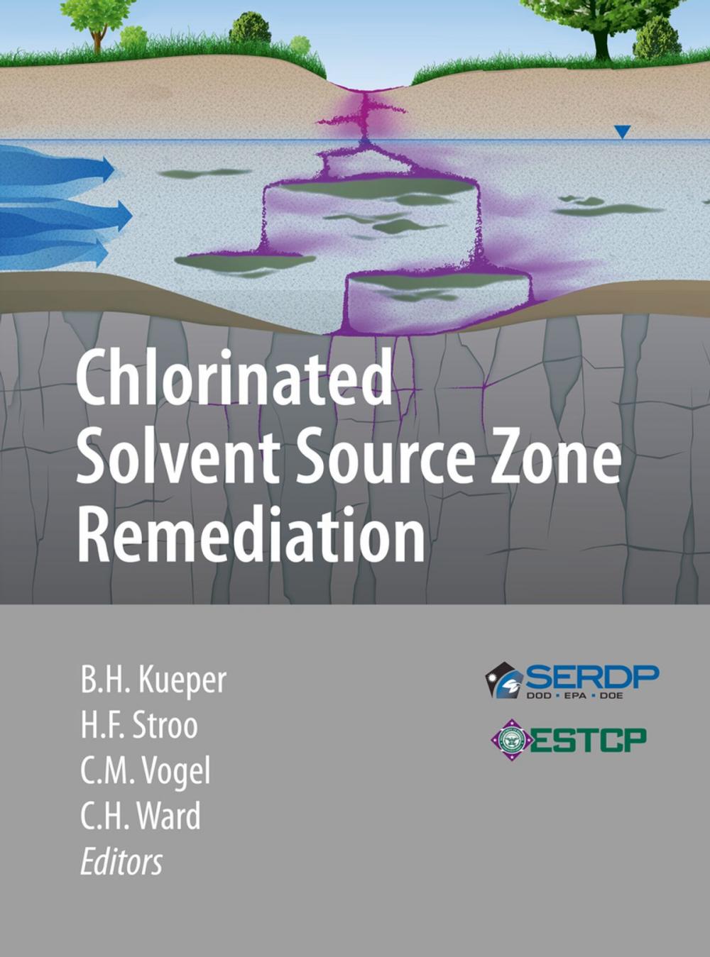 Big bigCover of Chlorinated Solvent Source Zone Remediation