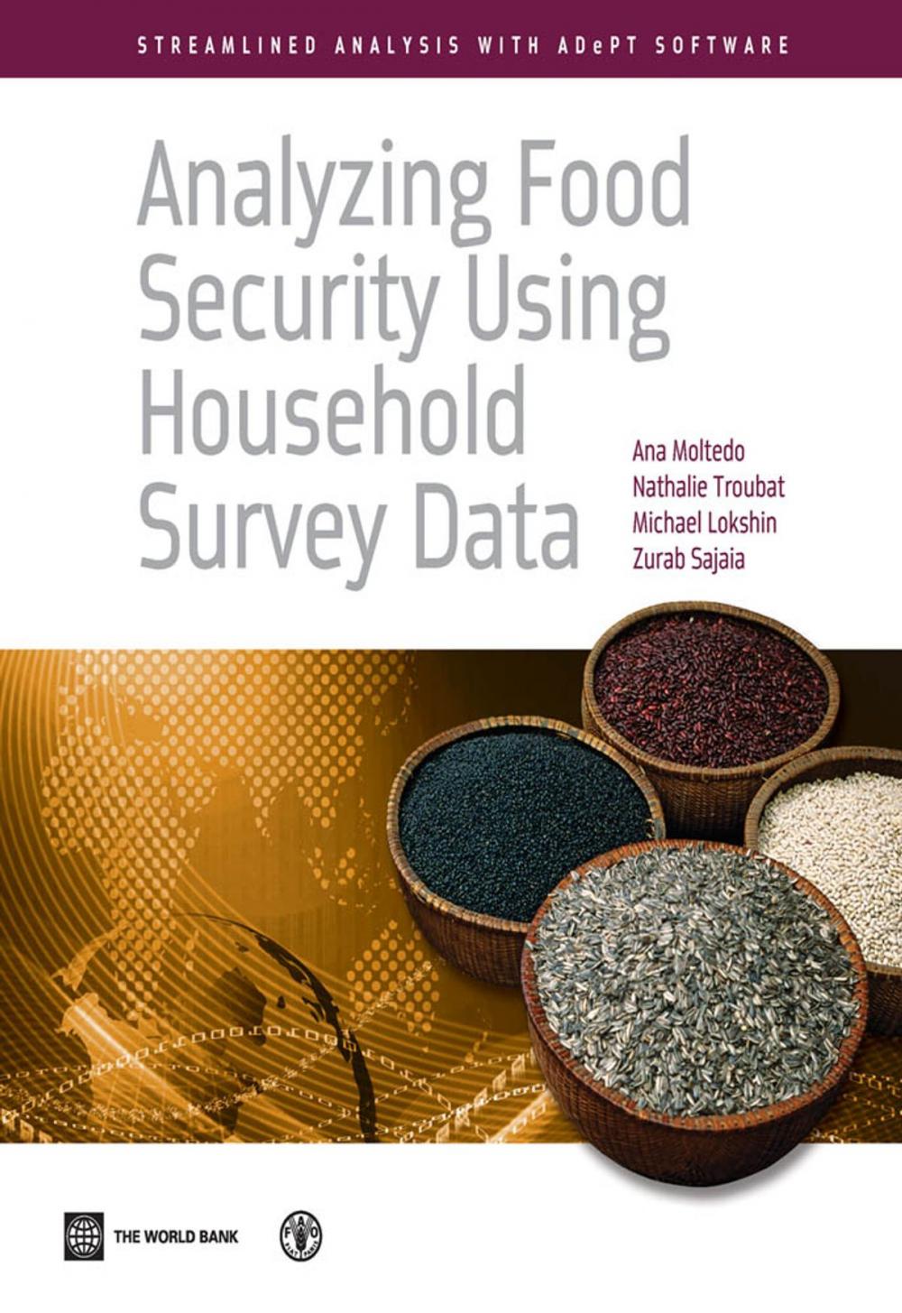 Big bigCover of Analyzing Food Security Using Household Survey Data