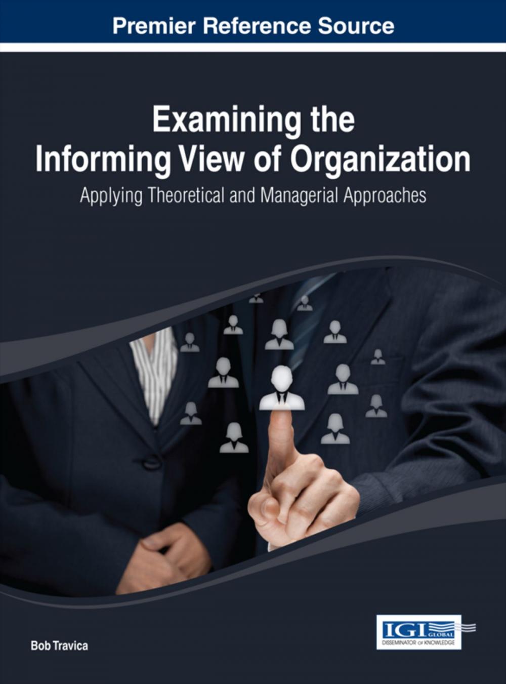 Big bigCover of Examining the Informing View of Organization