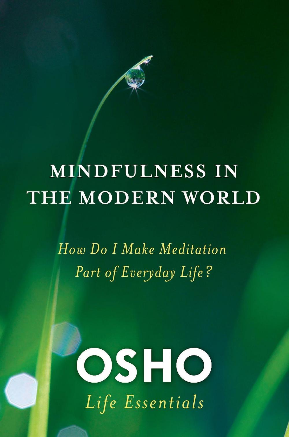 Big bigCover of Mindfulness in the Modern World