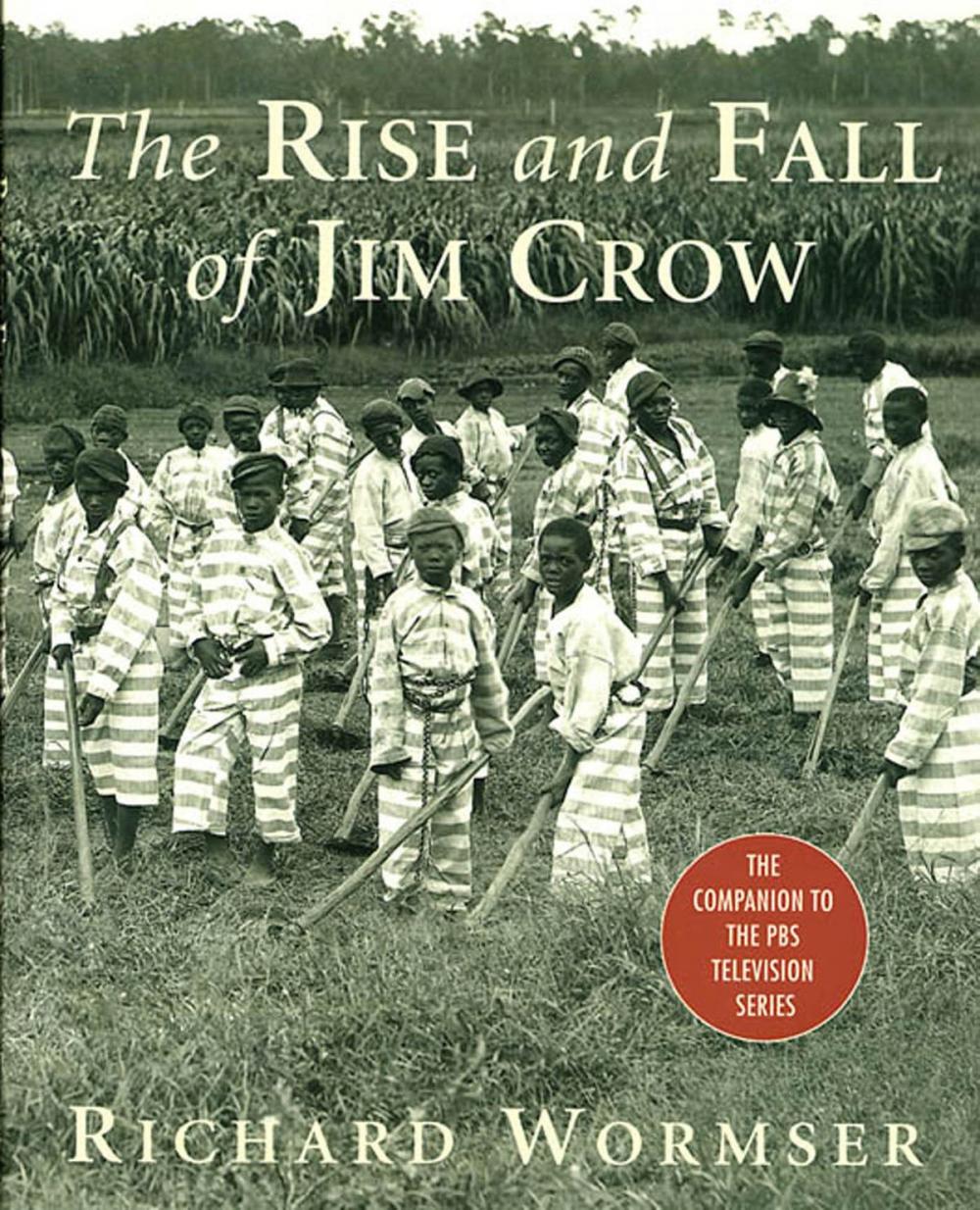 Big bigCover of The Rise and Fall of Jim Crow