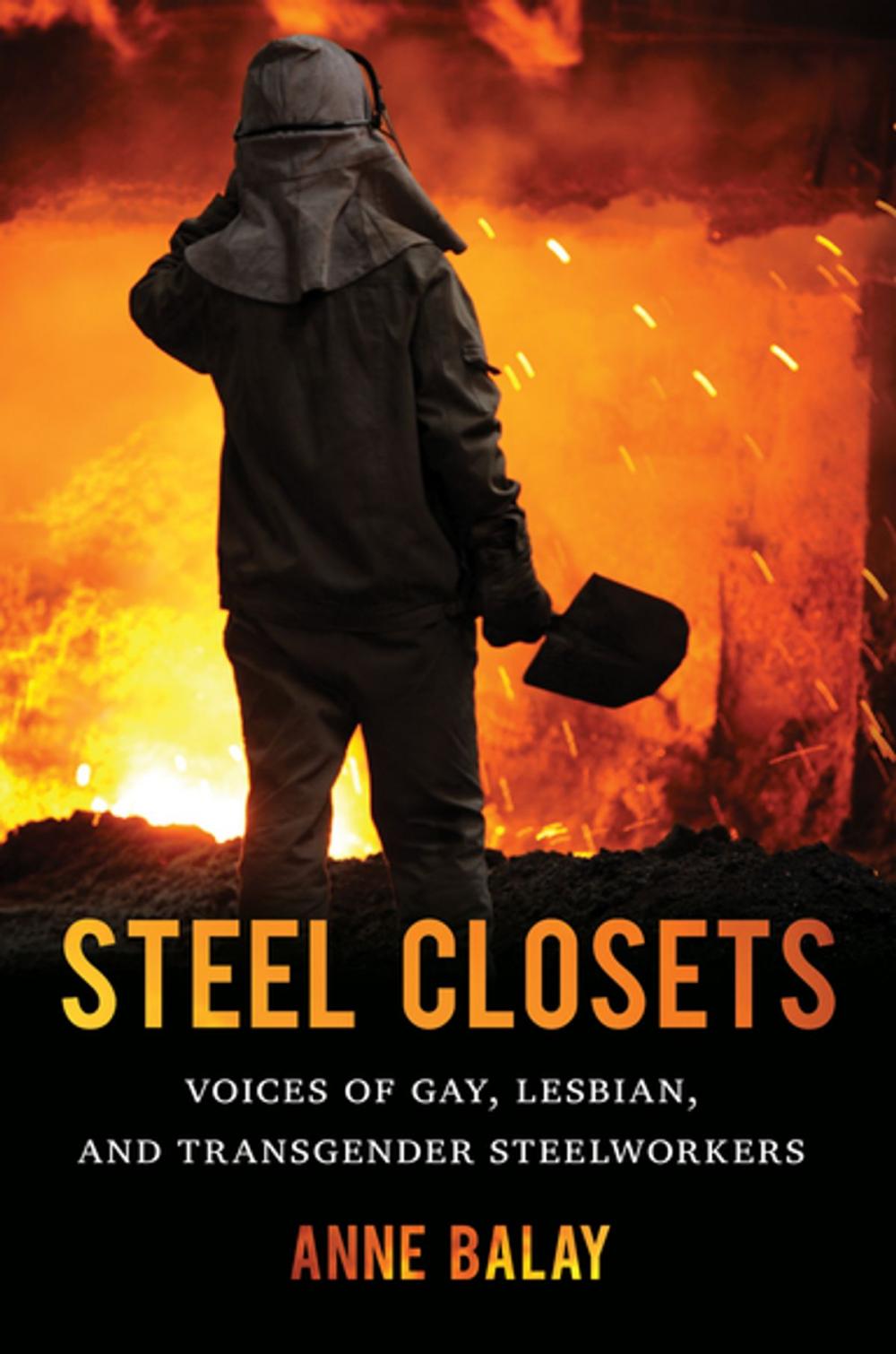 Big bigCover of Steel Closets