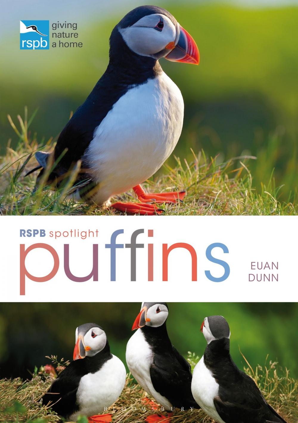 Big bigCover of RSPB Spotlight: Puffins