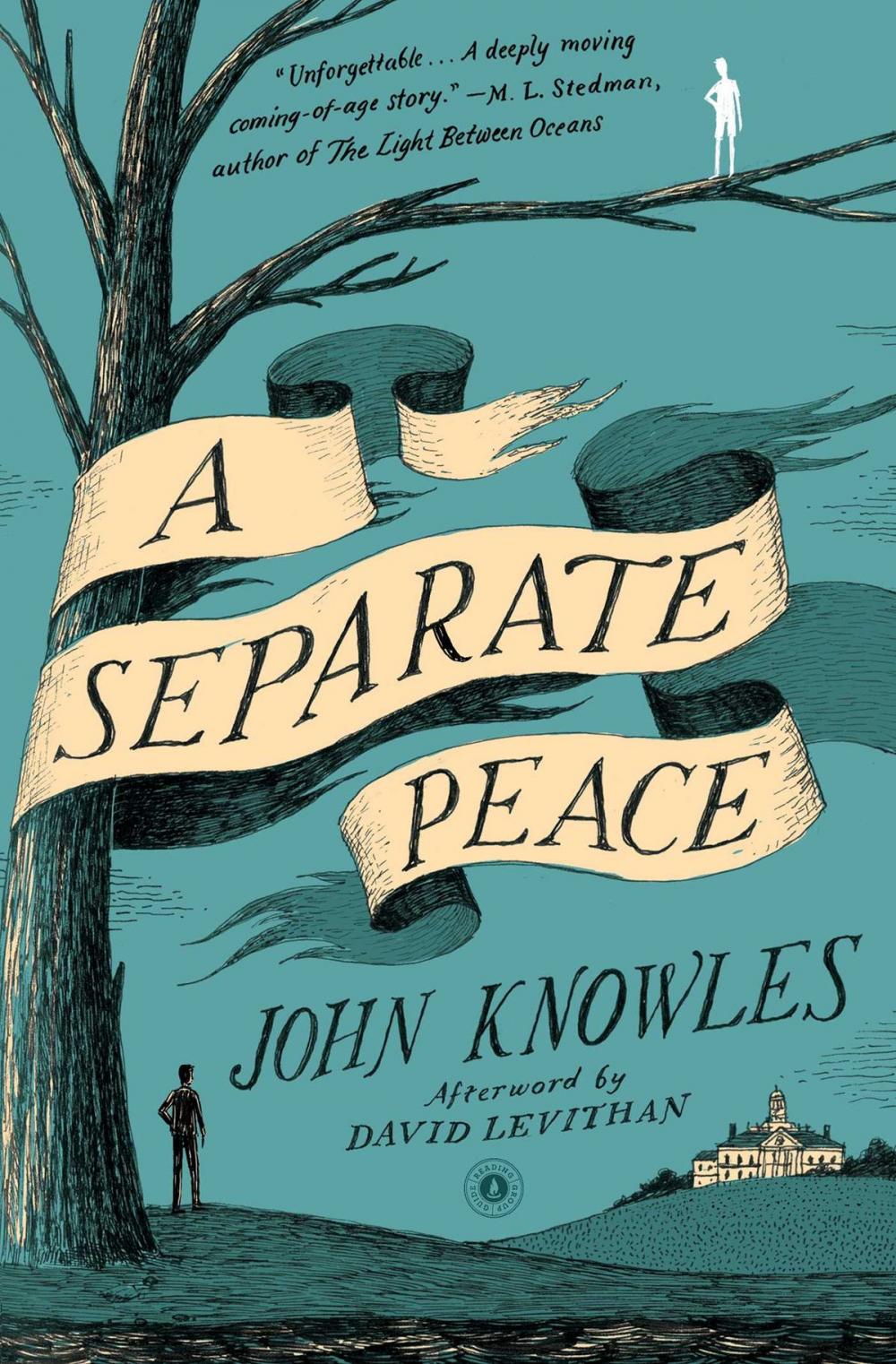 Big bigCover of A Separate Peace