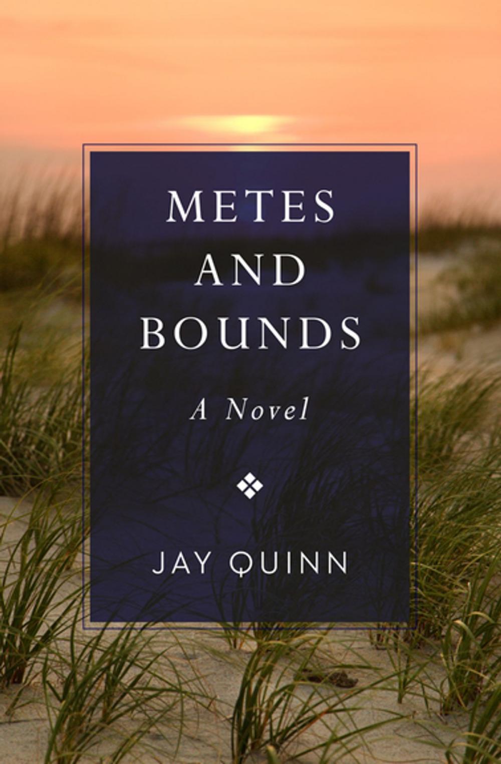 Big bigCover of Metes and Bounds