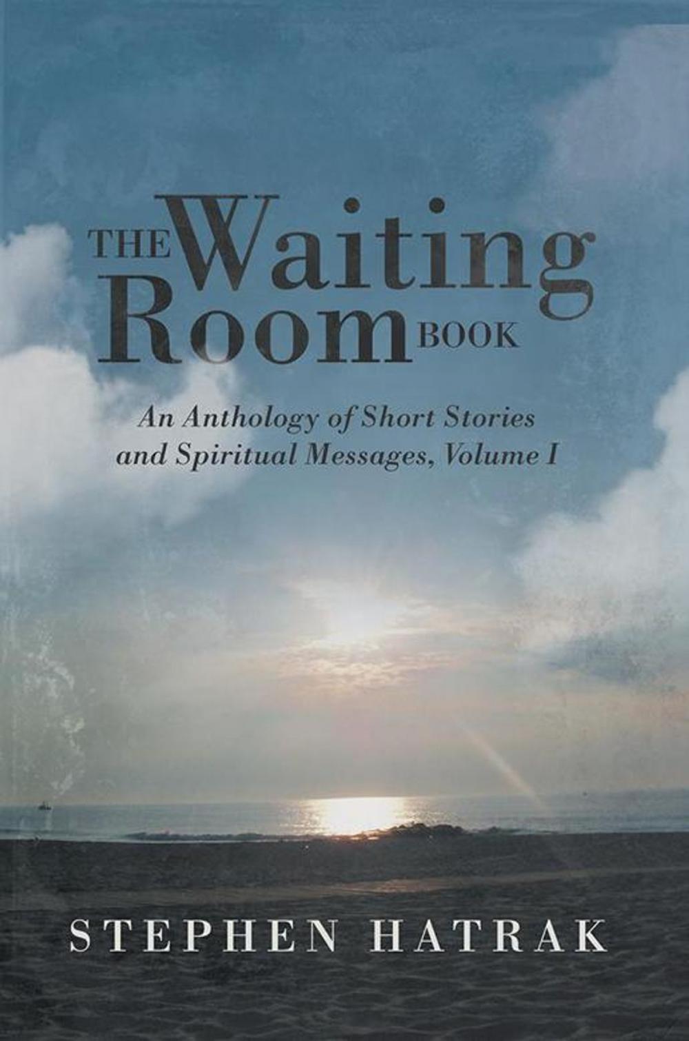 Big bigCover of The Waiting Room Book