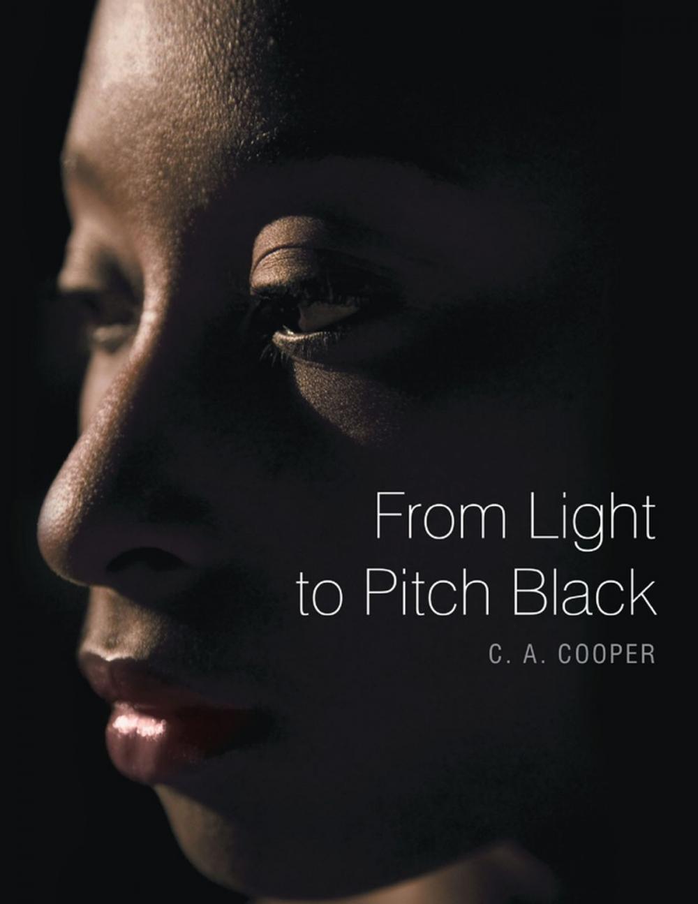 Big bigCover of From Light to Pitch Black