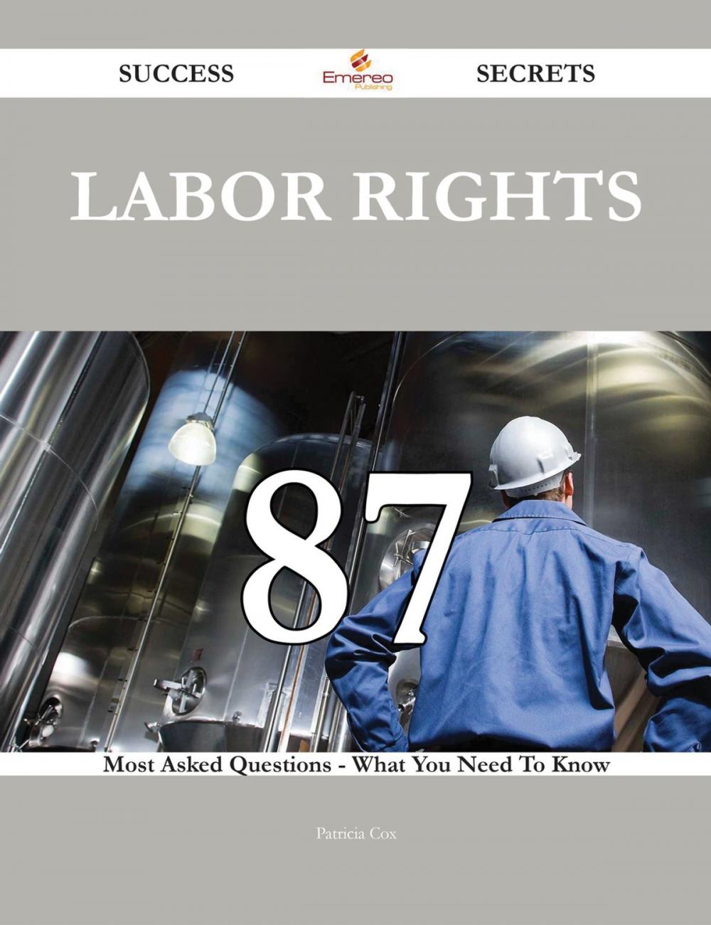 Big bigCover of Labor rights 87 Success Secrets - 87 Most Asked Questions On Labor rights - What You Need To Know