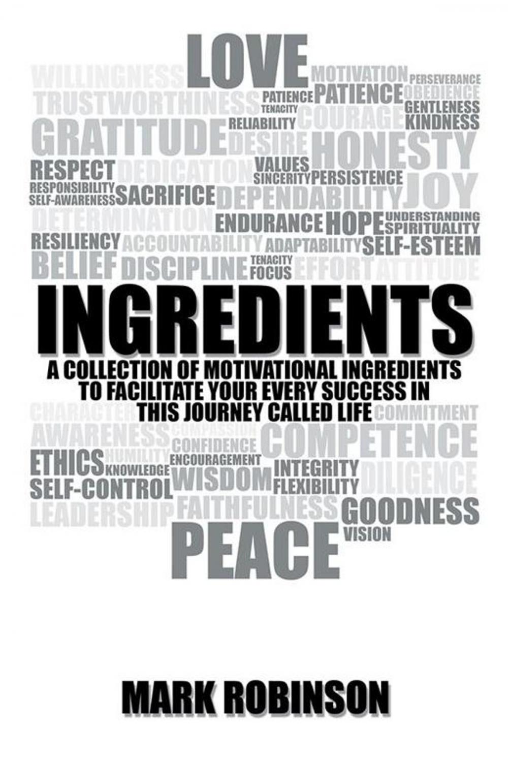 Big bigCover of Ingredients