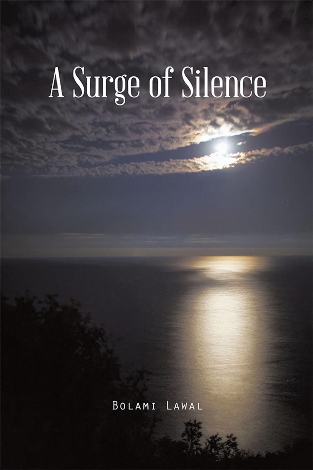 Big bigCover of A Surge of Silence