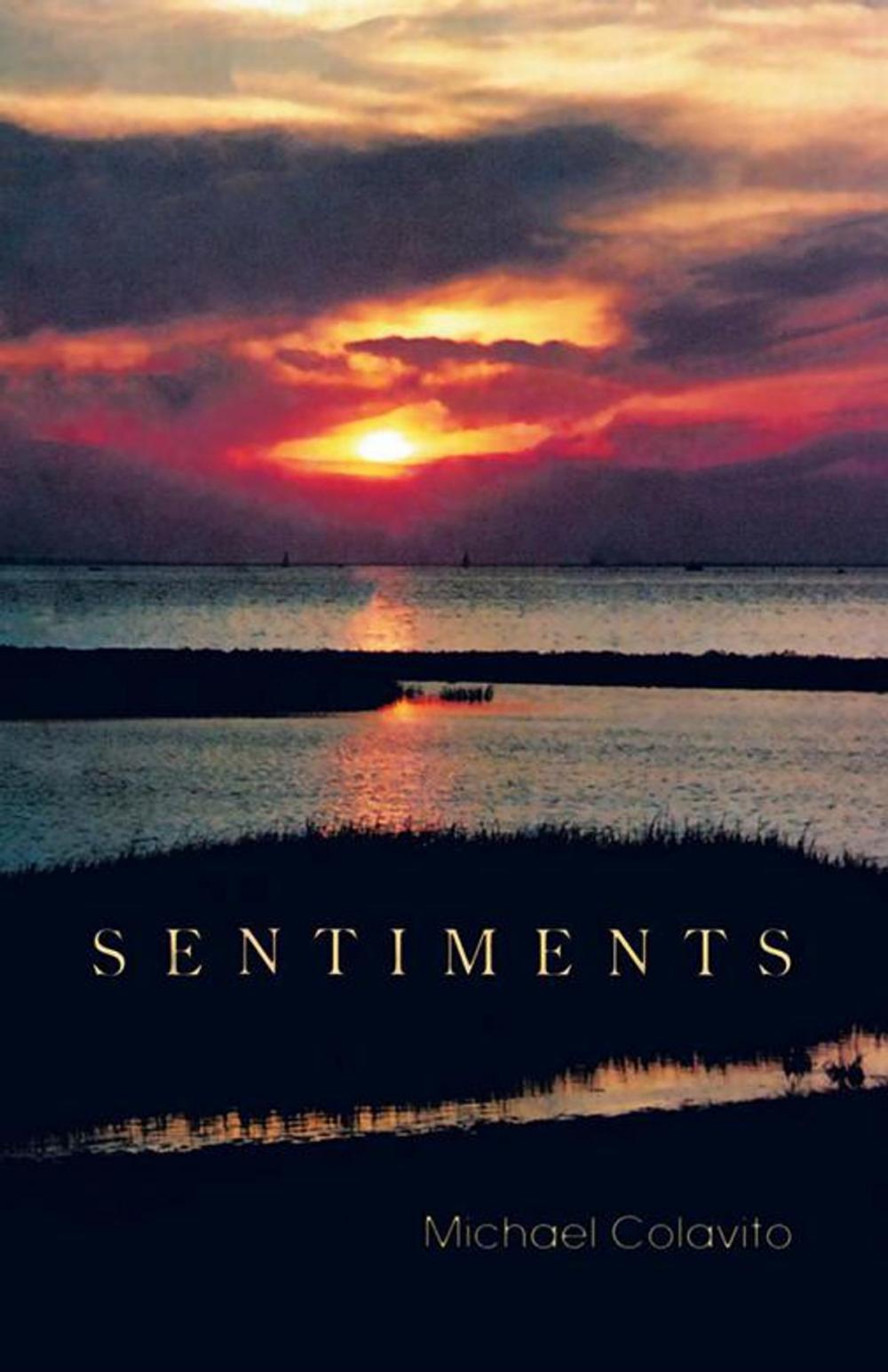 Big bigCover of Sentiments