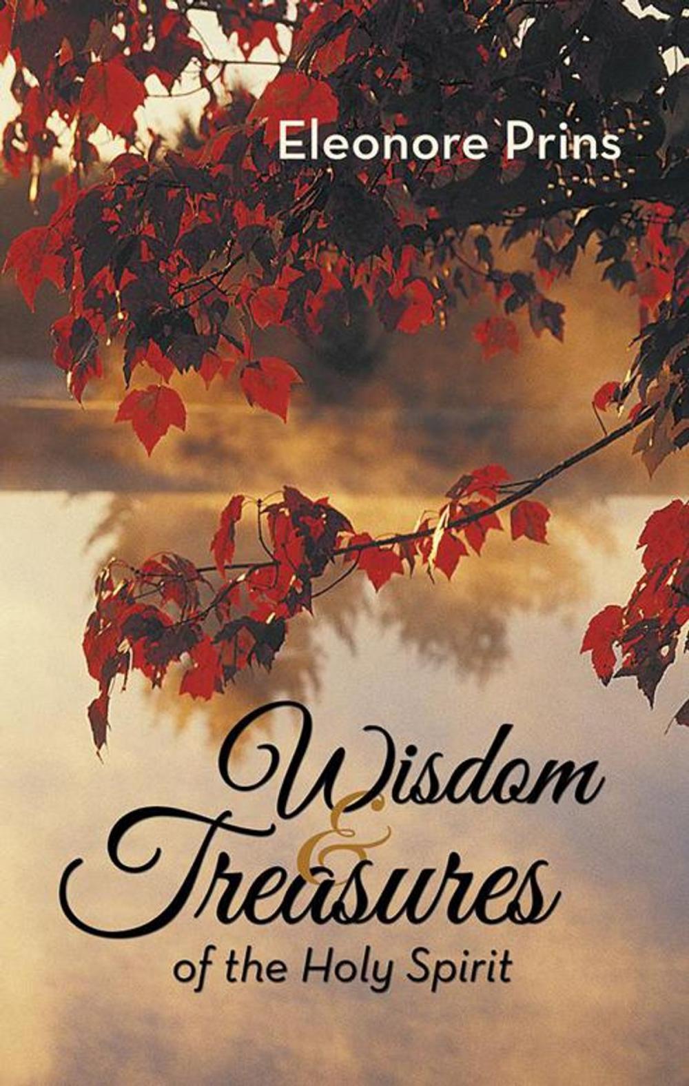 Big bigCover of Wisdom and Treasures of the Holy Spirit