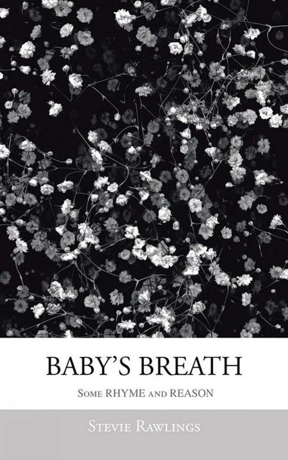 Big bigCover of Baby's Breath