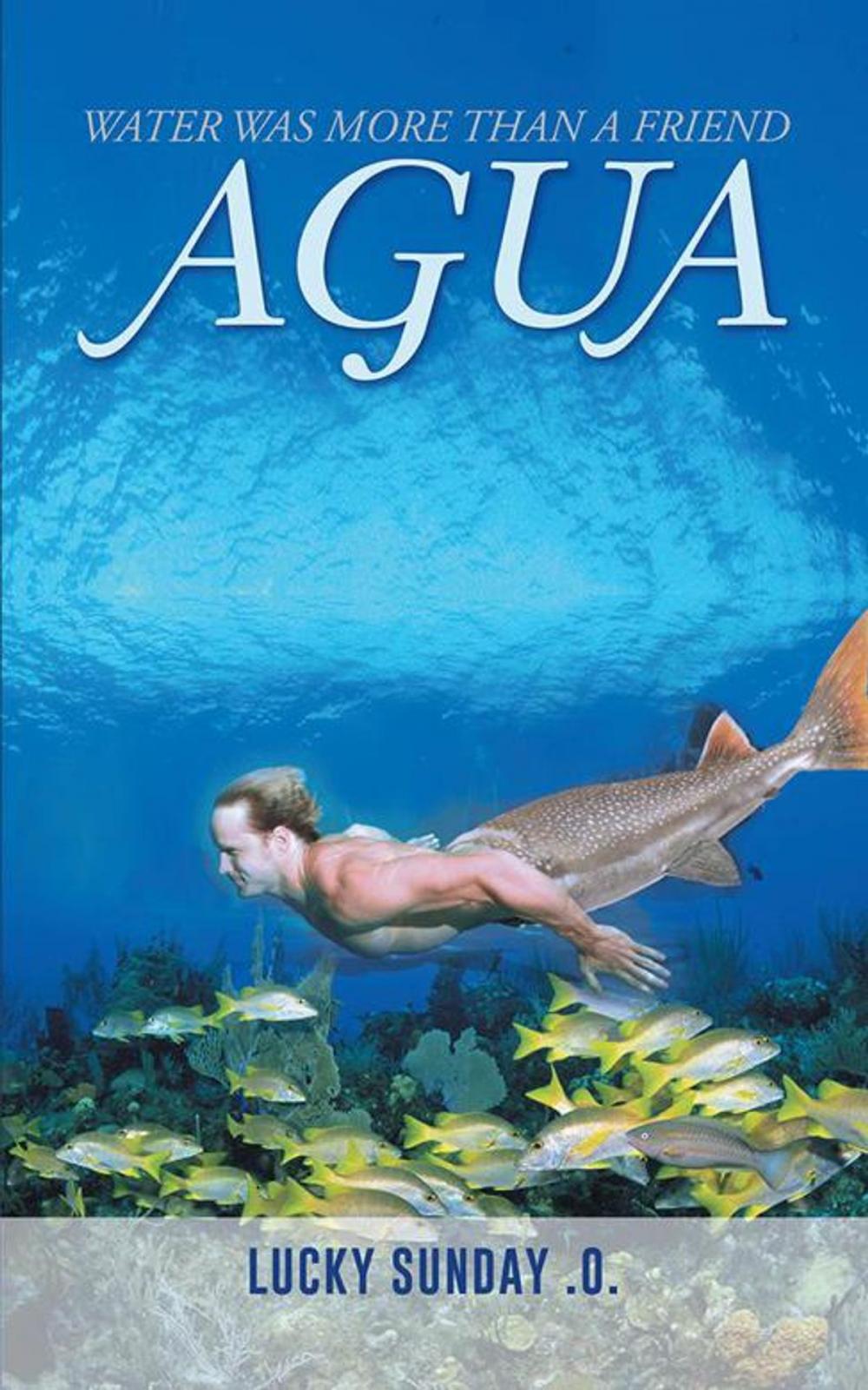 Big bigCover of Agua