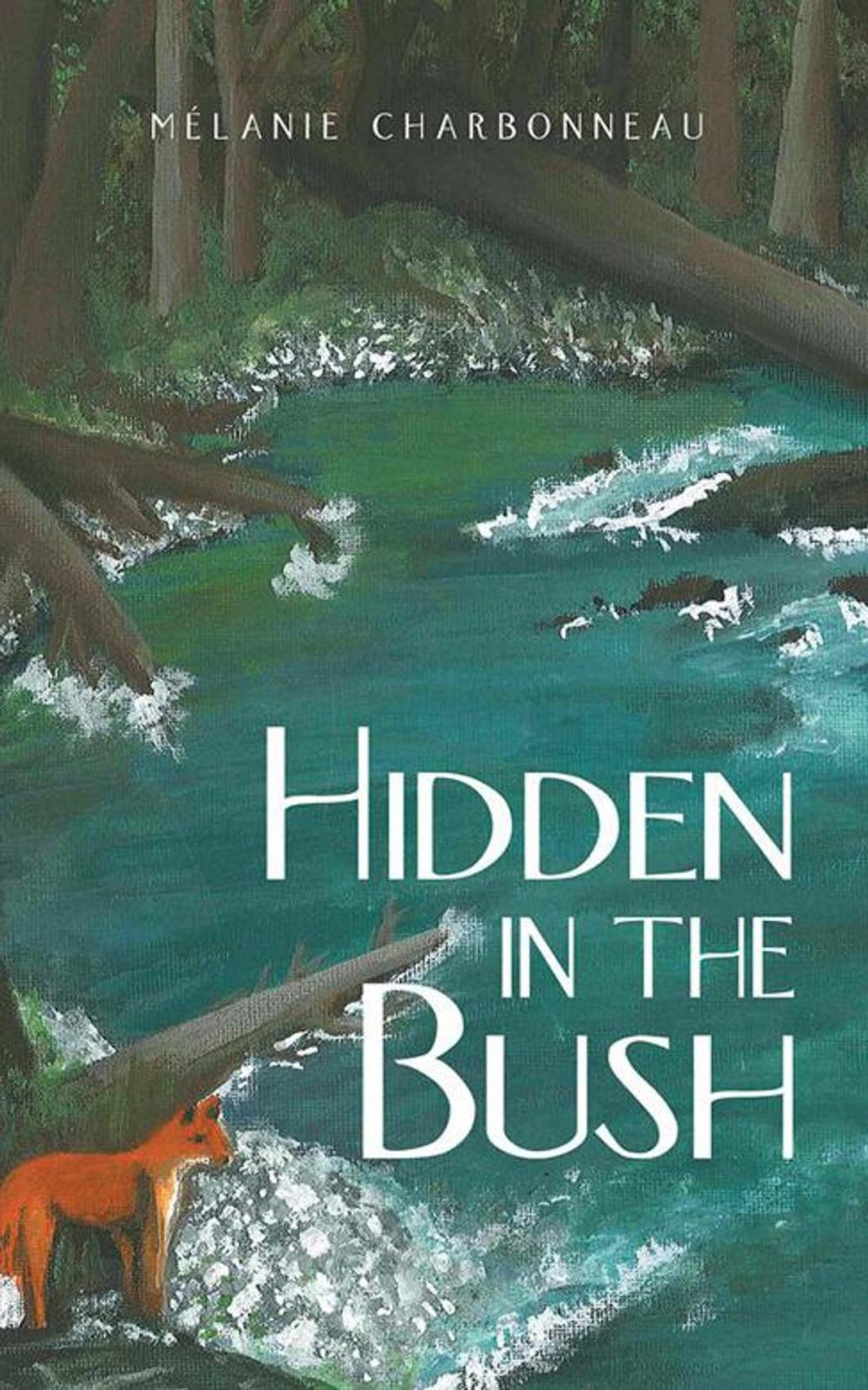 Big bigCover of Hidden in the Bush