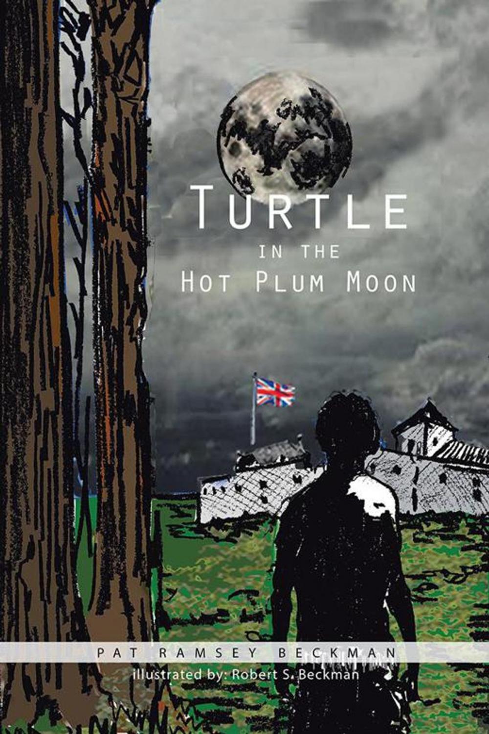 Big bigCover of Turtle in the Hot Plum Moon