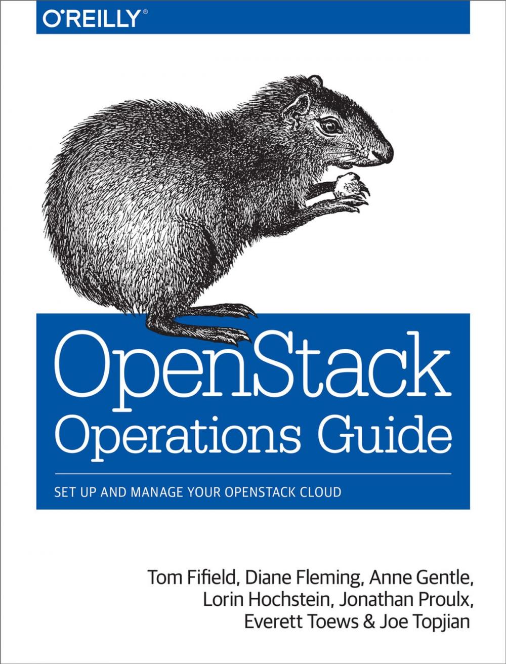 Big bigCover of OpenStack Operations Guide