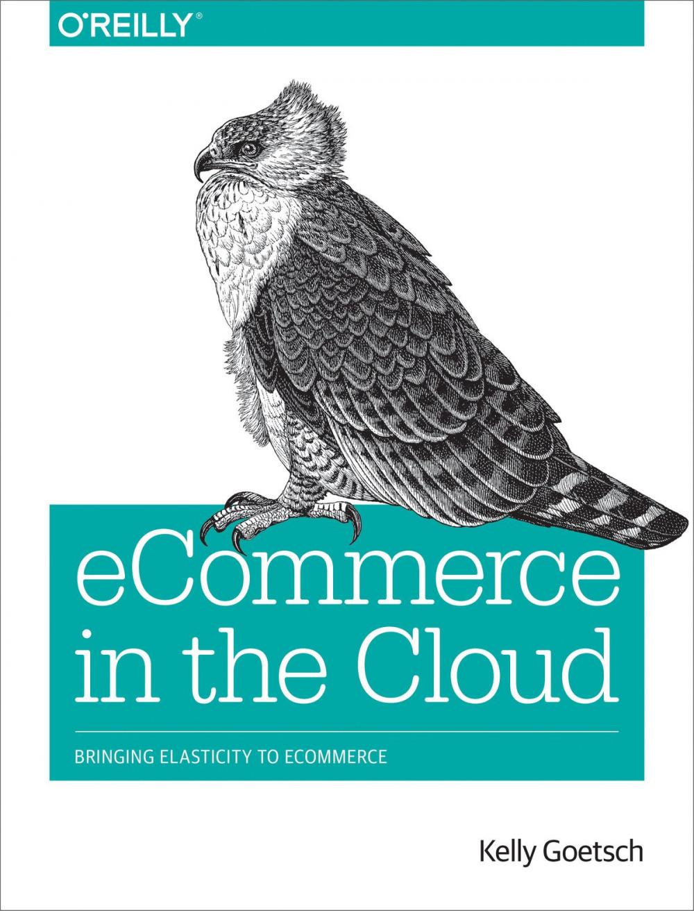 Big bigCover of eCommerce in the Cloud