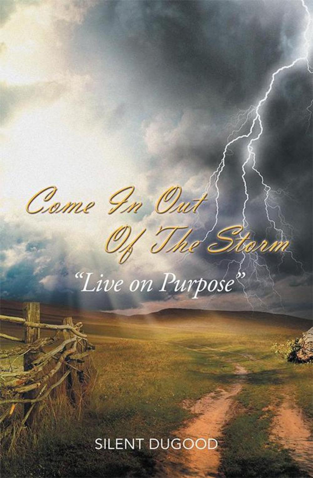 Big bigCover of Come in out of the Storm