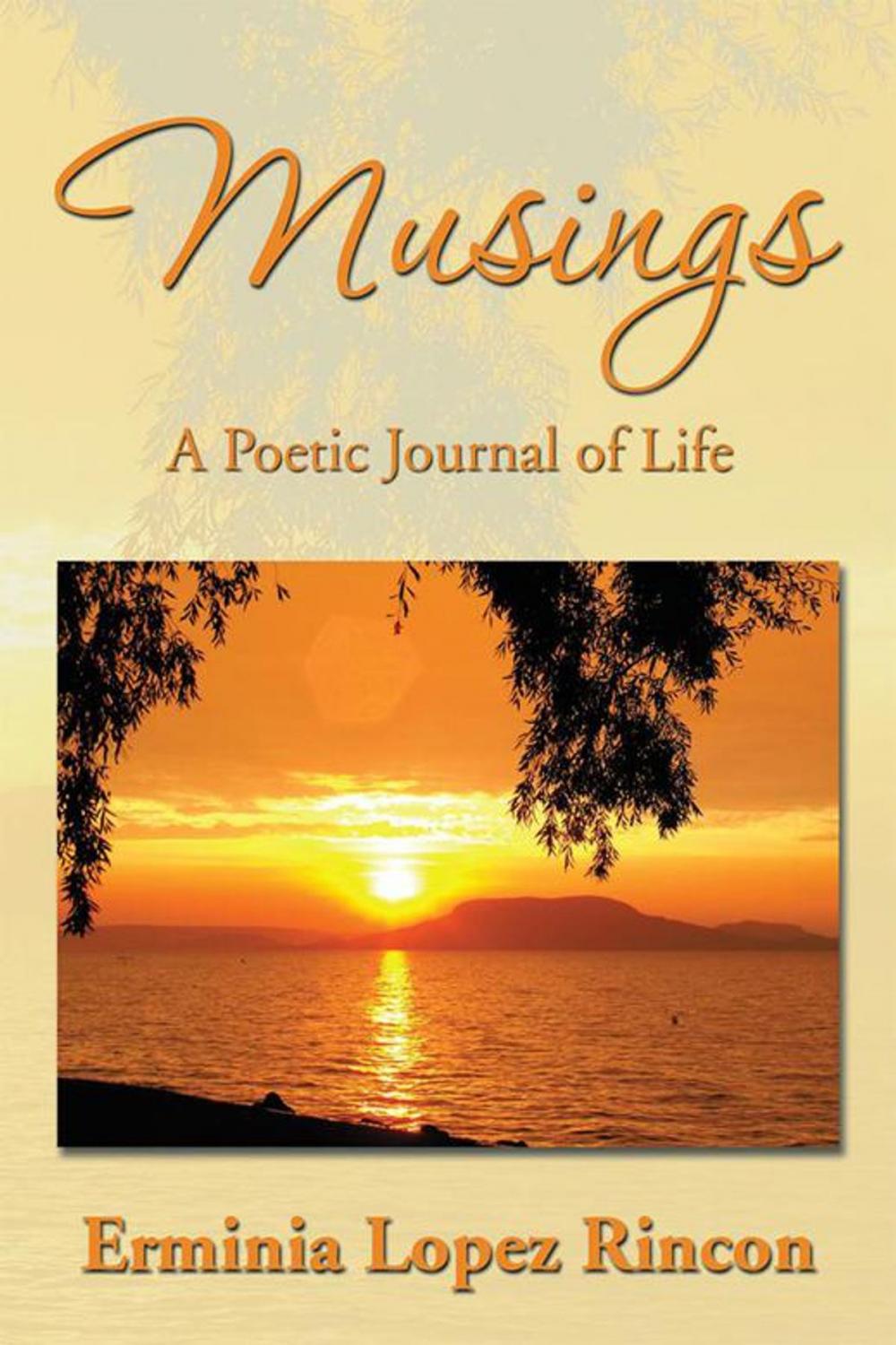 Big bigCover of Musings