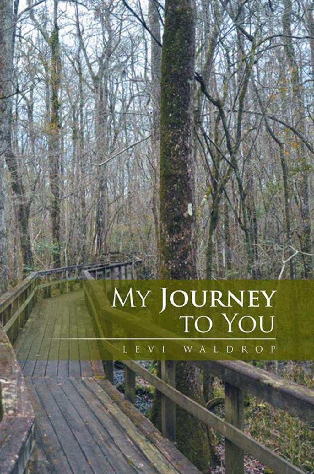 Big bigCover of My Journey to You