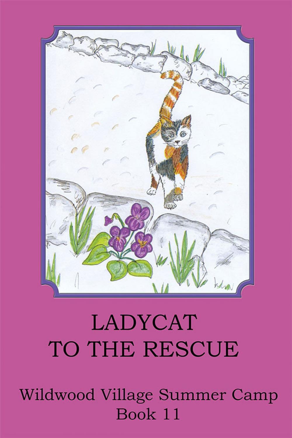 Big bigCover of Ladycat to the Rescue