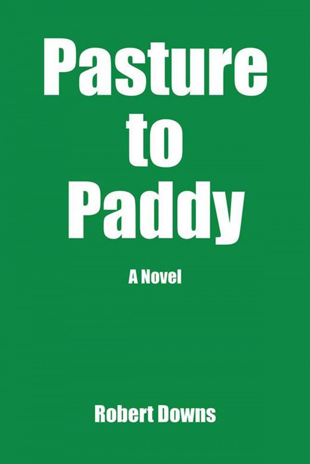 Big bigCover of Pasture to Paddy