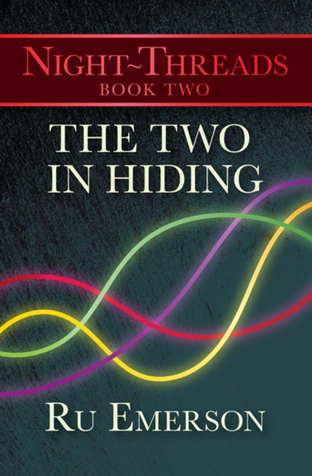 Big bigCover of The Two in Hiding