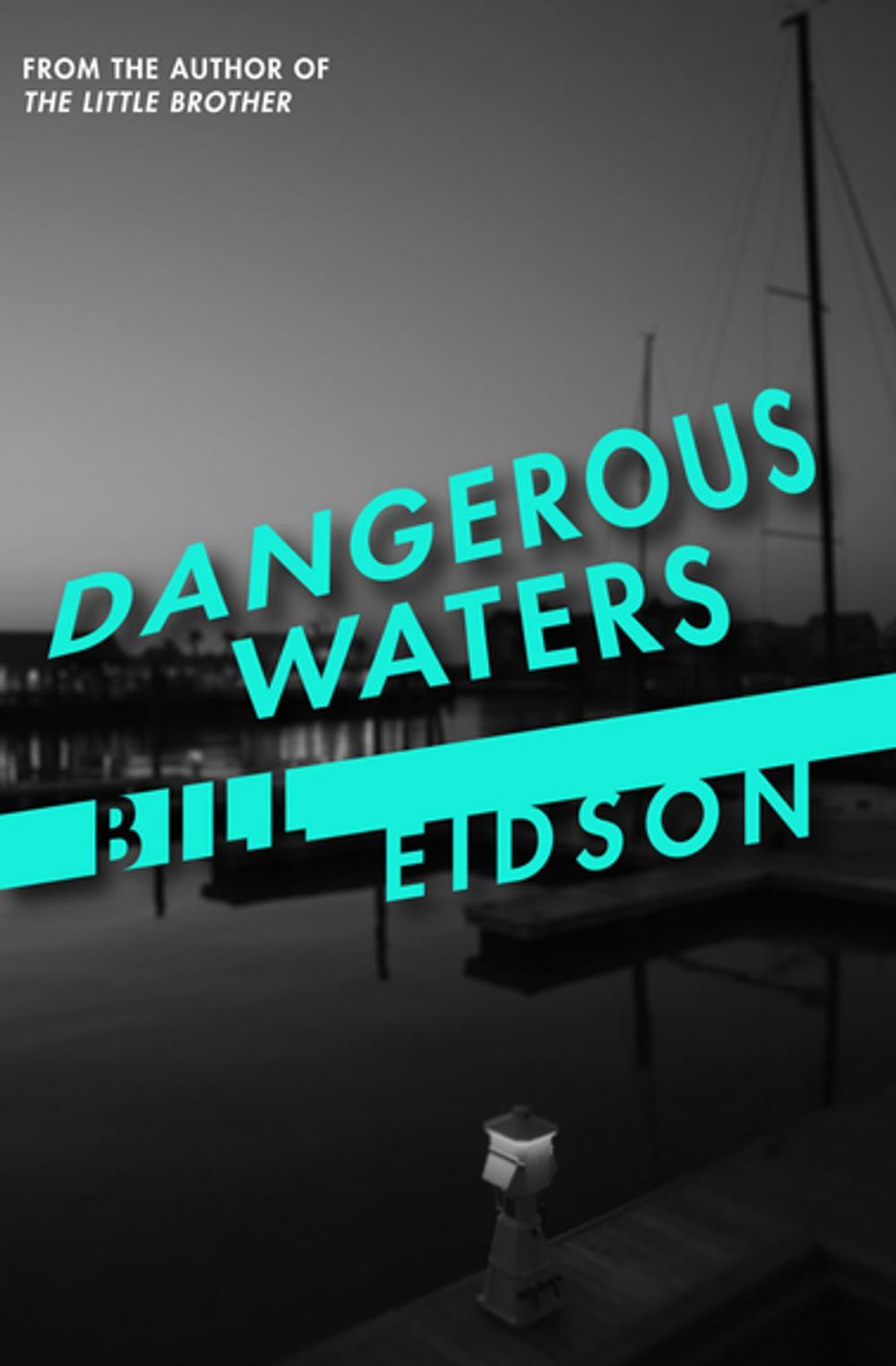 Big bigCover of Dangerous Waters