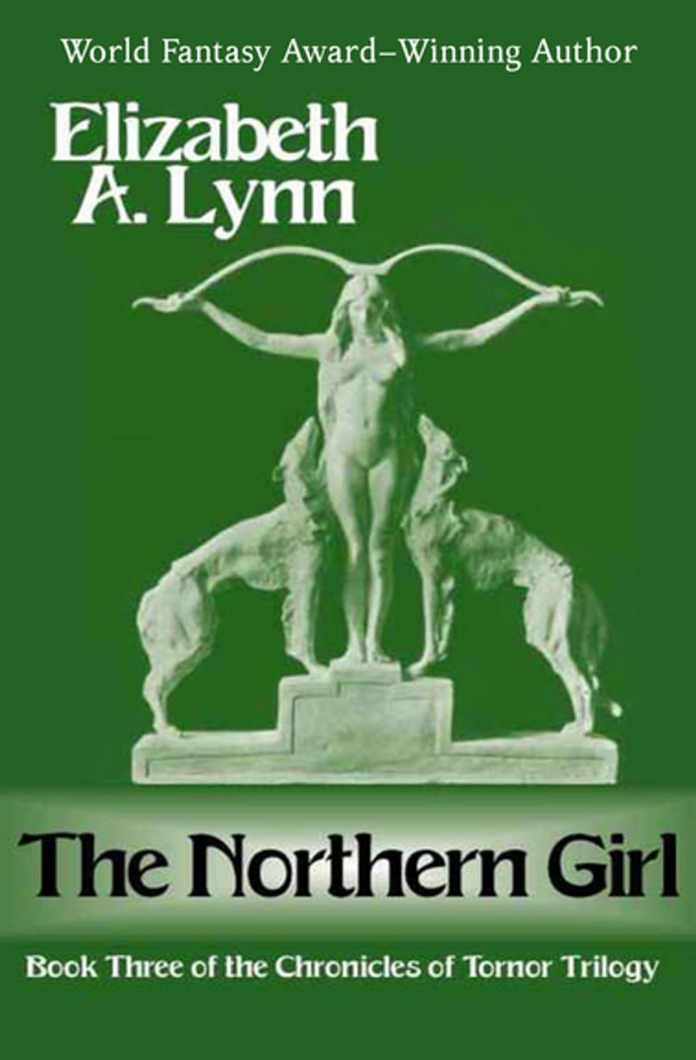 Big bigCover of The Northern Girl