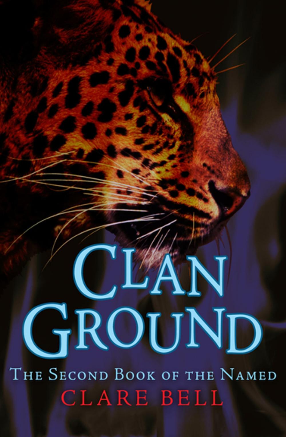 Big bigCover of Clan Ground