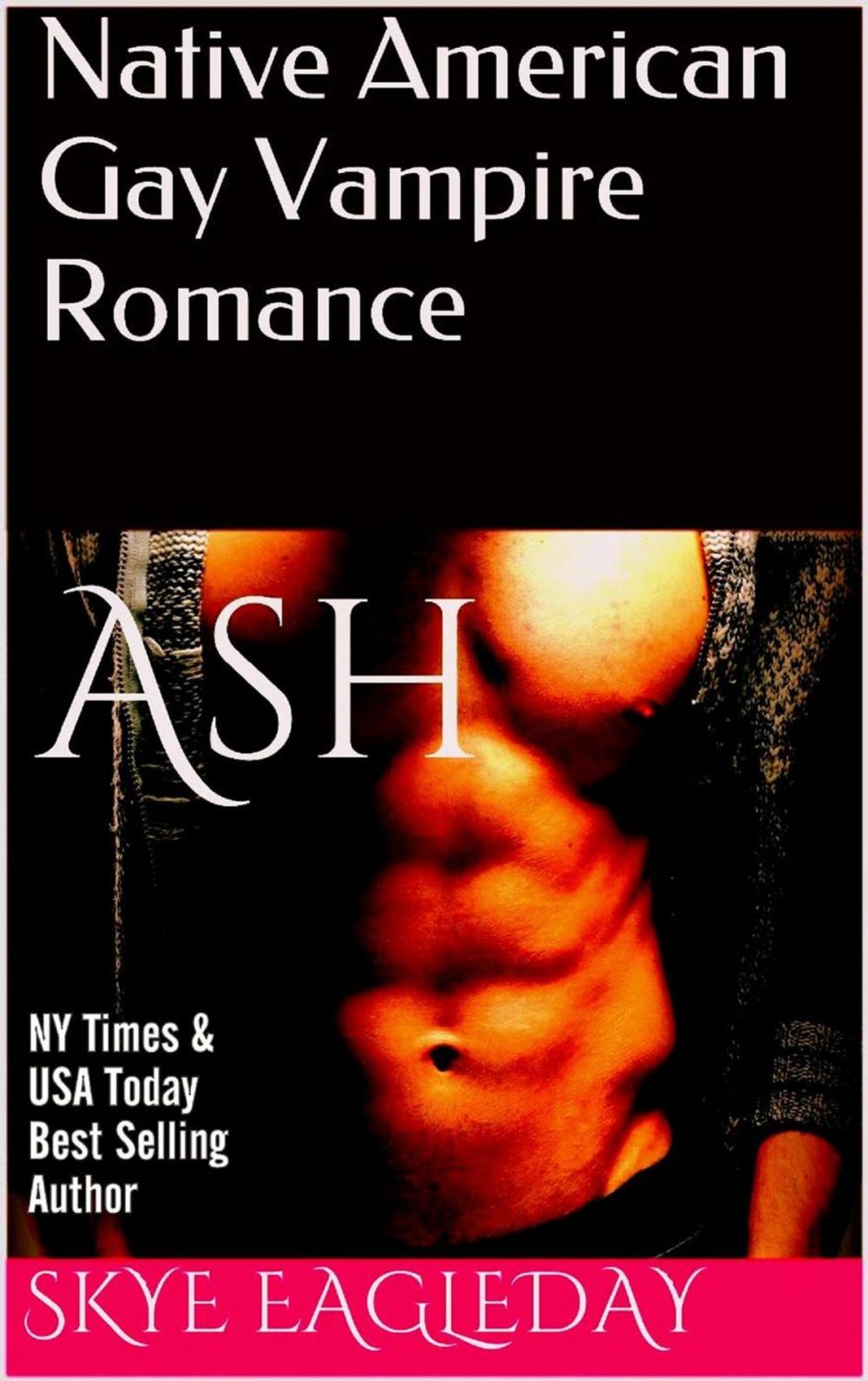 Big bigCover of Ash (Native American Gay Vampire Romance)