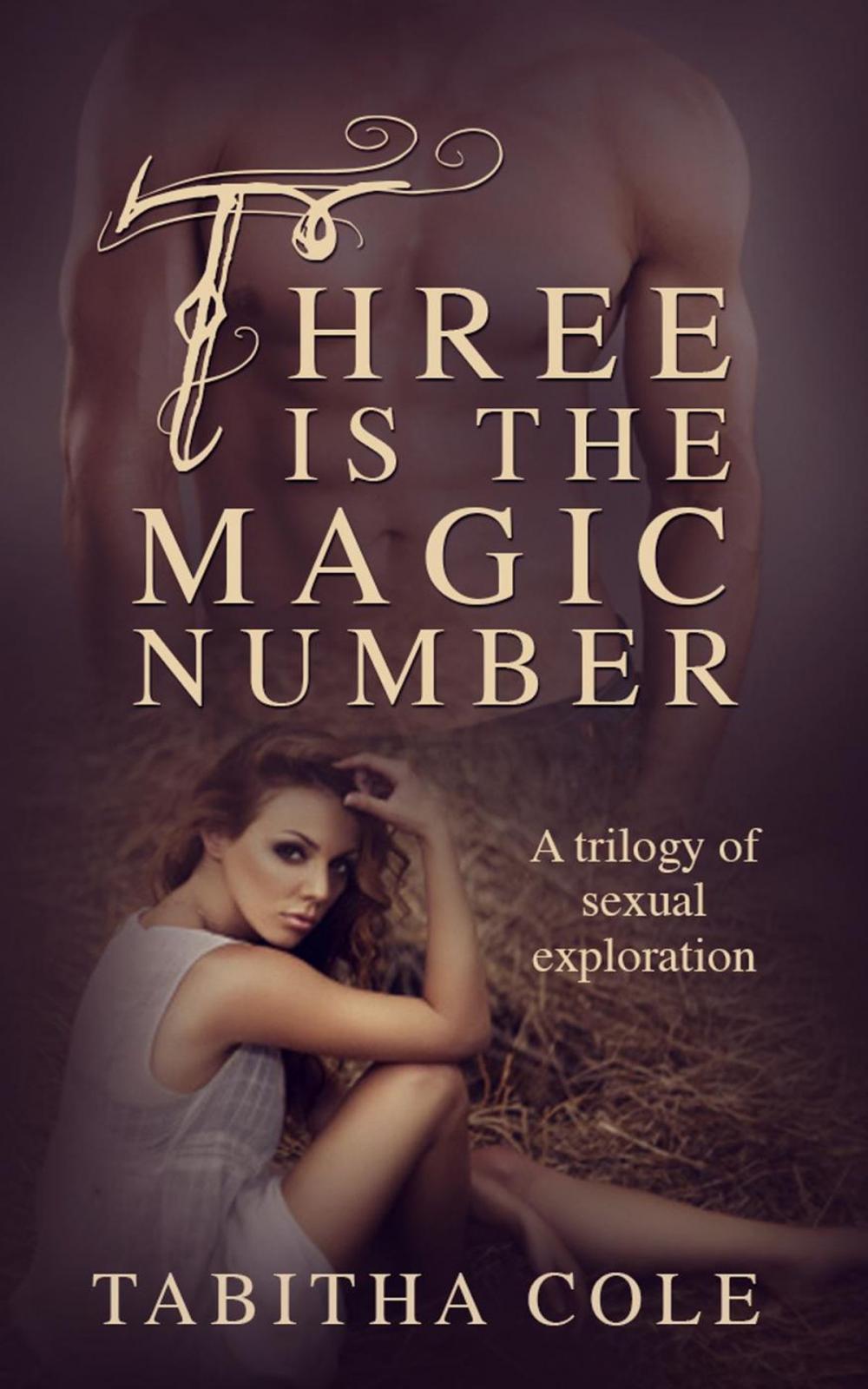 Big bigCover of Three is The Magic Number: A Trilogy of Sexual Exploration (Multiple partner, double penetration, threesome, orgy erotica)