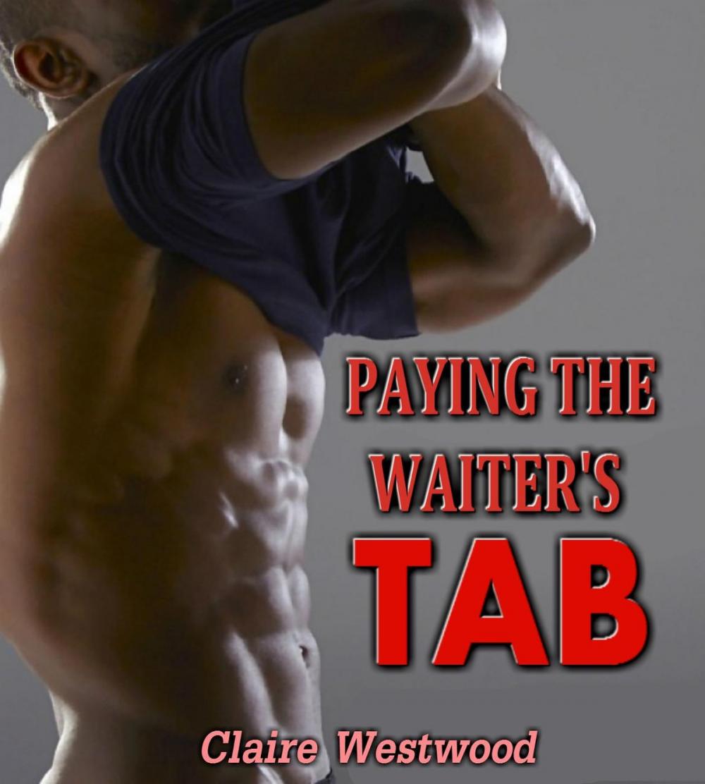 Big bigCover of Paying the Waiter's Tab: A Gay, Anal Virgin erotic tale