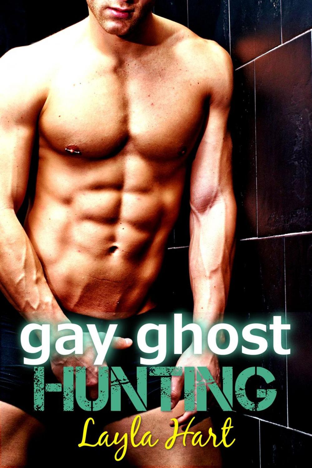 Big bigCover of Gay Ghost Hunting