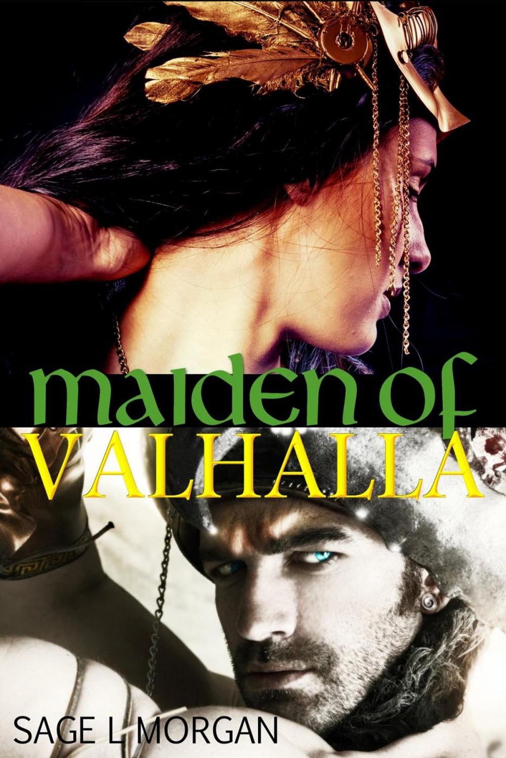 Big bigCover of Maiden of Valhalla